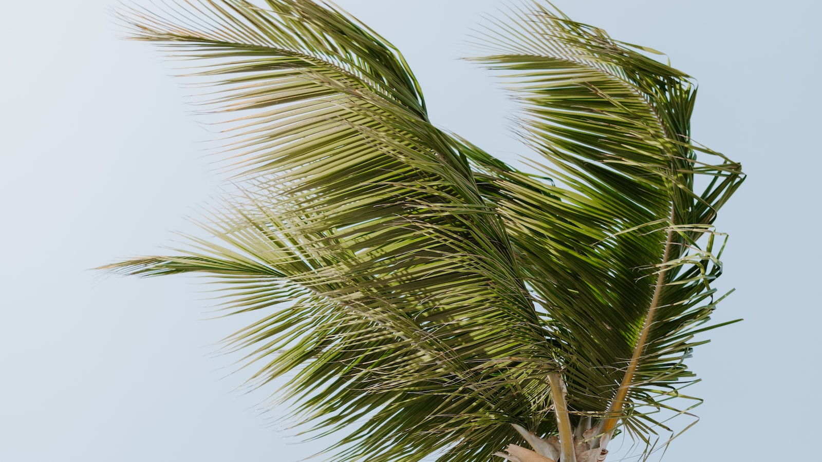 Bagaimana Bentuk Desain yang Kreatif dapat Meningkatkan Kualitas Produk